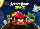 game pic for Angry Bird Space  touch